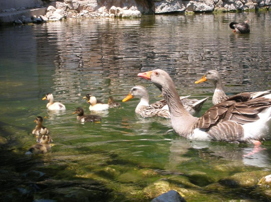 Adrasan River Hotel Kumluca Esterno foto